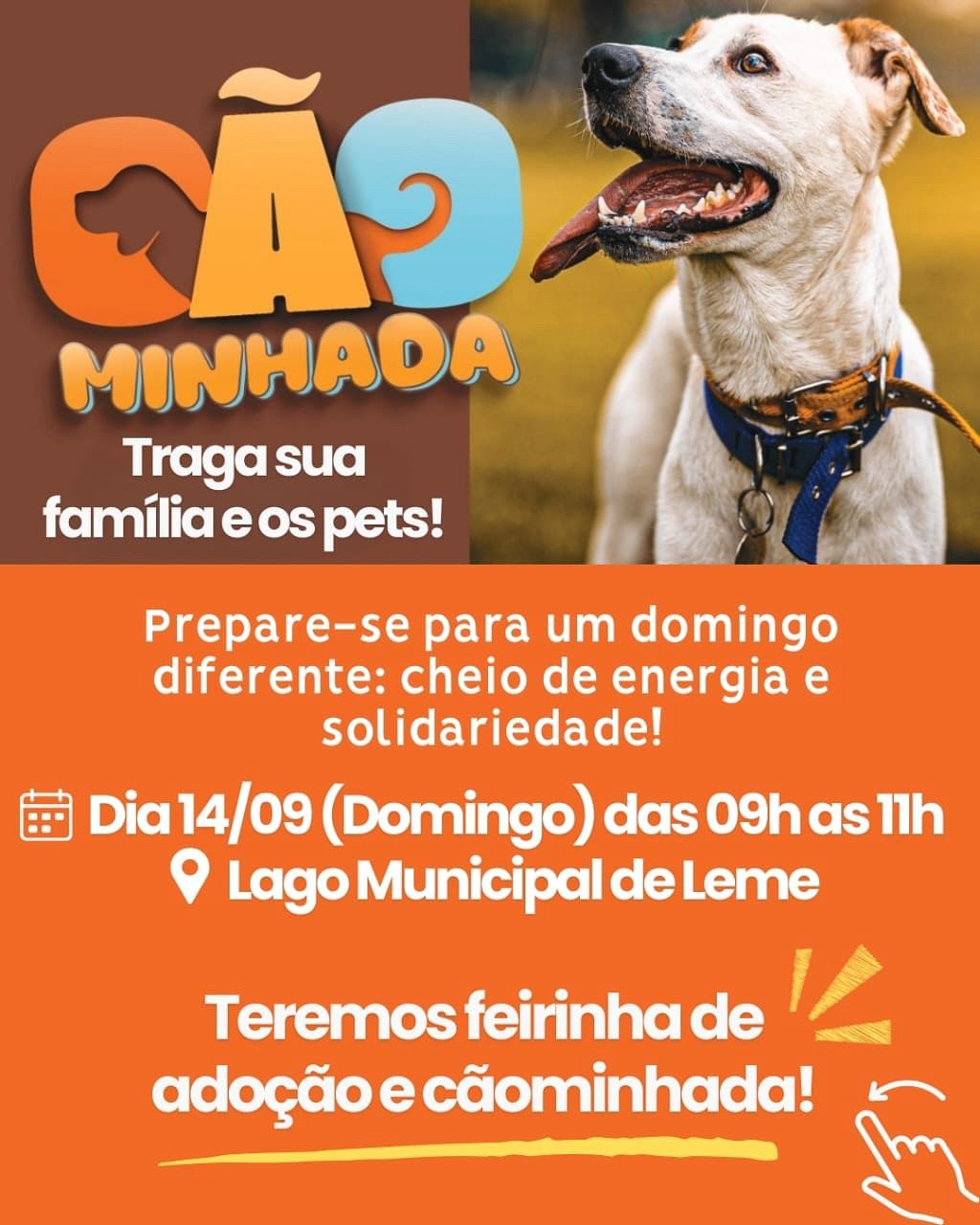 Domingo é Dia de “Caominhada” e Feira de Adoção em Parceria com a TS Tech